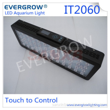 Bridge Lux LED Aquarium Light with Automatic Setup Program (IT2060)